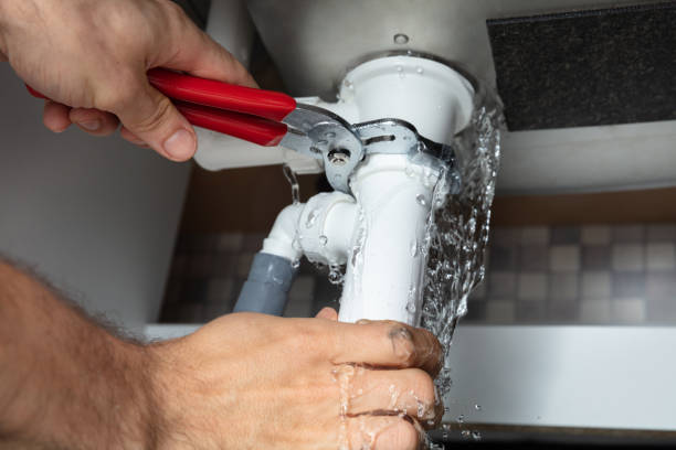 Best Flooded house restoration  in Bolivar, WV