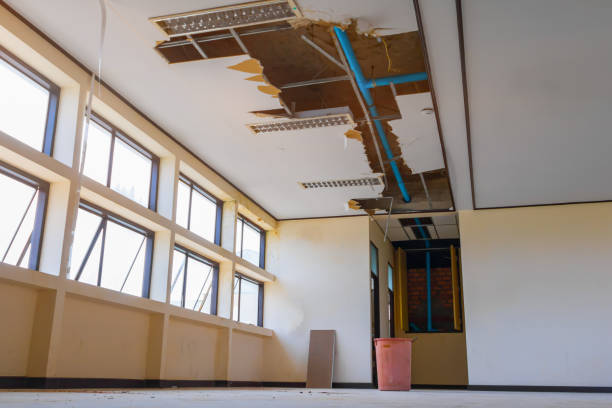 Best Fire Damage Restoration  in Bolivar, WV