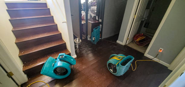 Best Sewage cleanup and water damage restoration  in Bolivar, WV