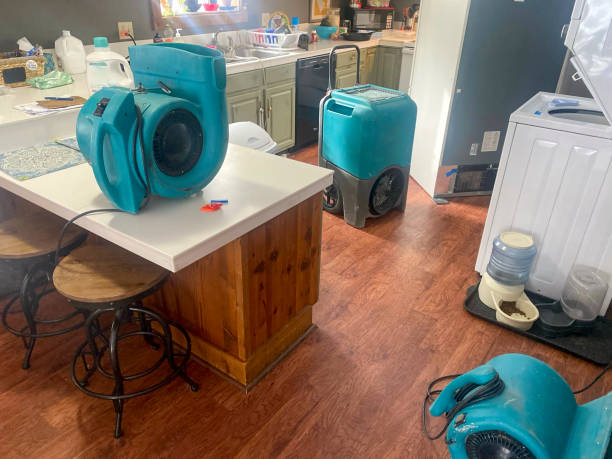 Water damage restoration mold remediation in WV