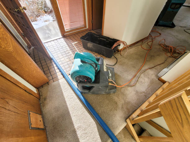 Best Water damage restoration mold remediation  in Bolivar, WV