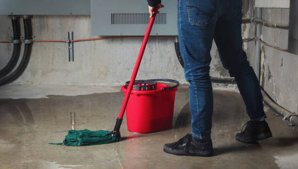 Best Water damage contractors near me  in Bolivar, WV