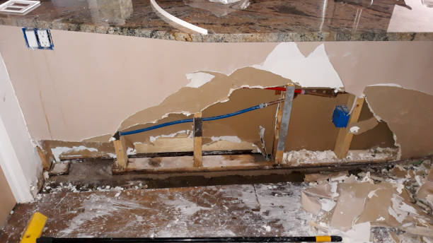 Best Water damage mitigation services  in Bolivar, WV