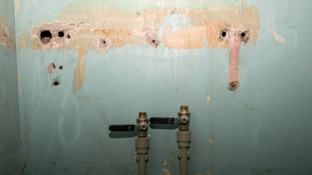 Best Water damage cleanup near me  in Bolivar, WV
