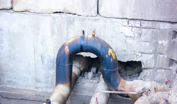 Best Water damage restoration near me  in Bolivar, WV