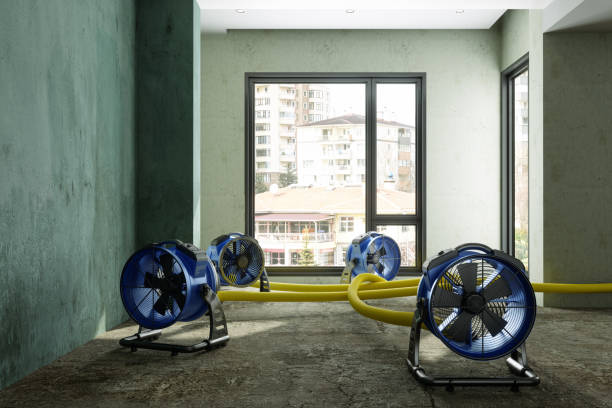 Best Carpet water damage restoration  in Bolivar, WV