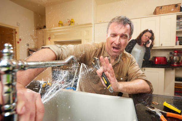 Best 24/7 water damage repair  in Bolivar, WV